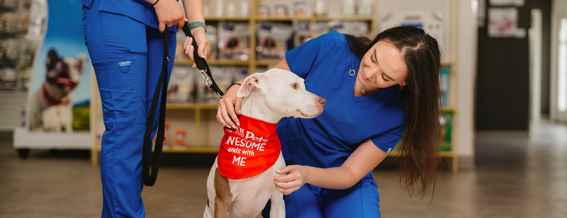 bentonville.allpetsnwa_dermatology