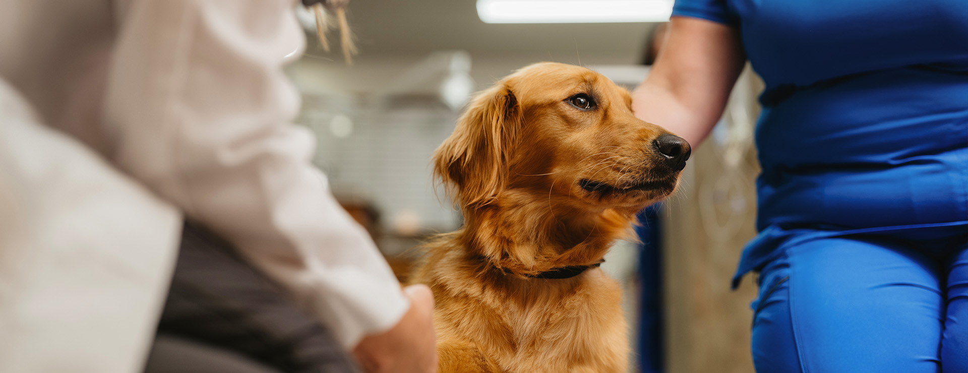 end of life bentonvile