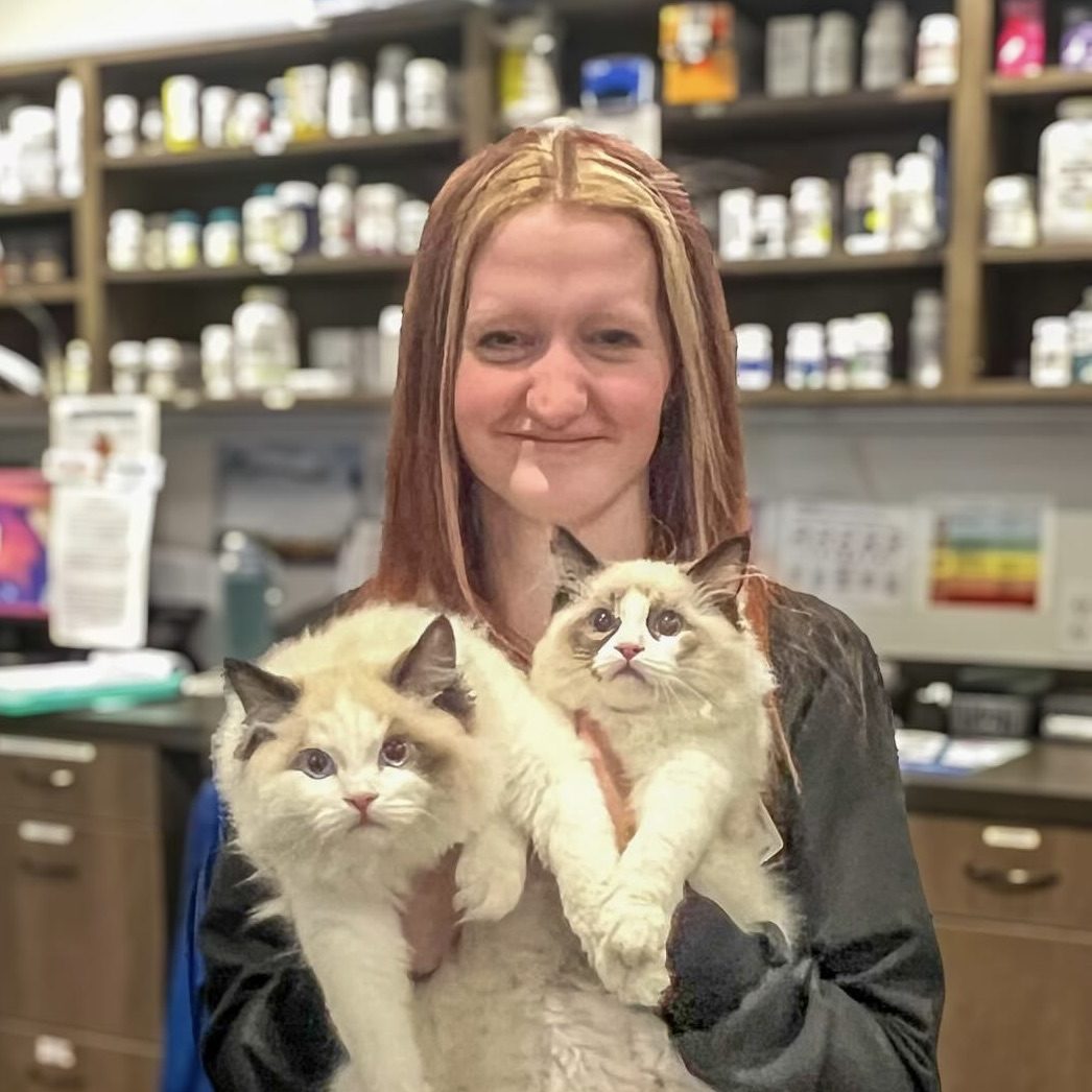 23A1CE8A-E4E7-40E5-8392-9AC66D1BB991_1_201_a