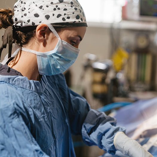 bentonville.allpetsnwa.jaredmarkfincher2024-86